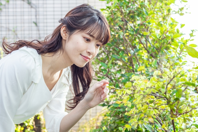 チェックする美人女性